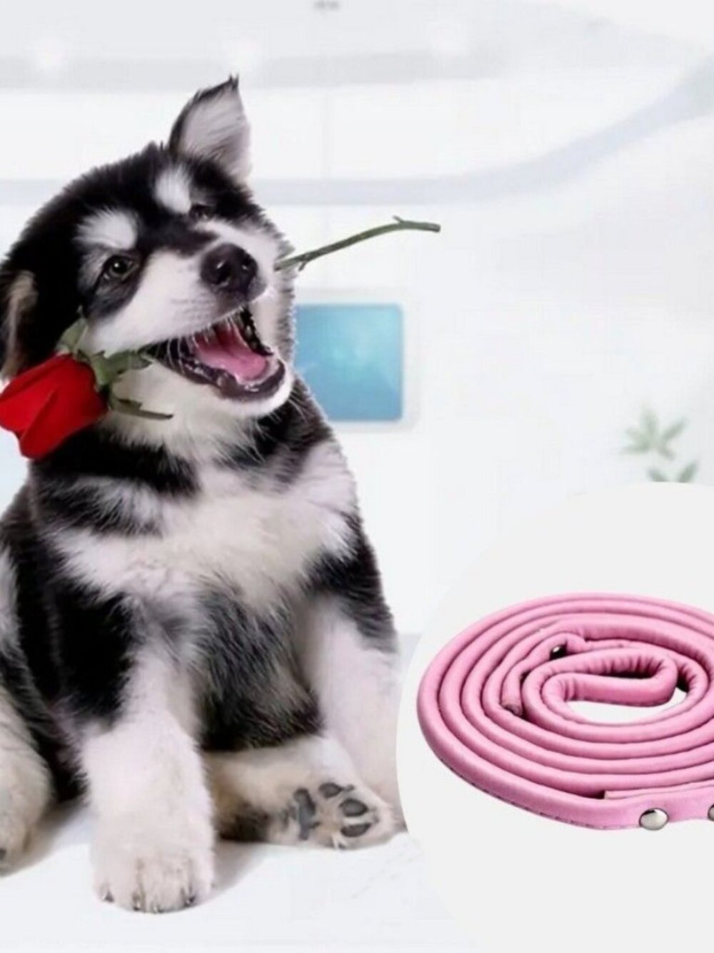 Xander Rey Classic Style Faux Leather Rotating Clip Dog Leash Sweet Pink